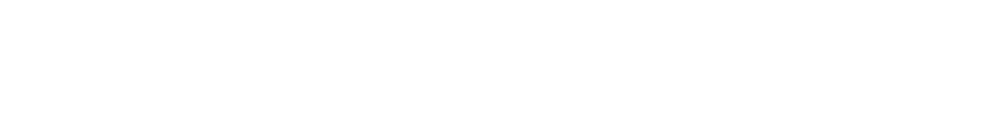 RICH SLIM